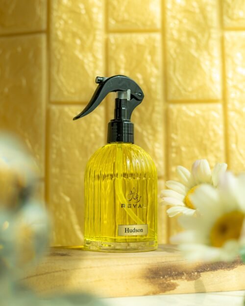 IMG_6254.jpg HUDSON AIR FRESHNER